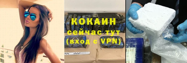 твердый Горняк