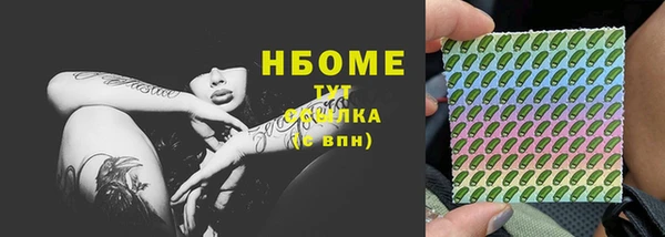 твердый Горняк