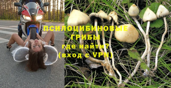 СК Вяземский