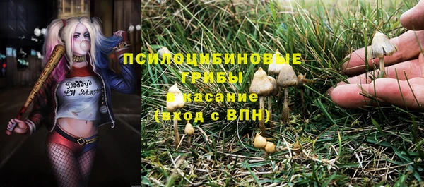 мяу мяу мука Фурманов