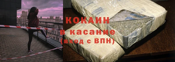 твердый Горняк
