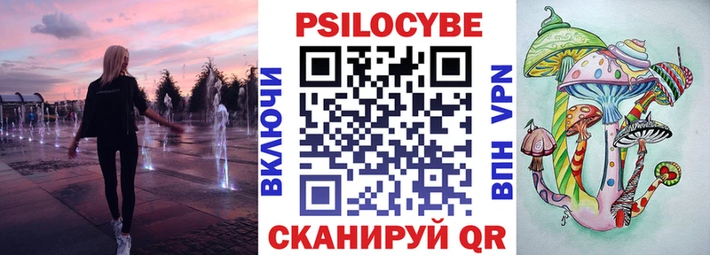 Псилоцибиновые грибы Psilocybe гидра tor Киренск купить